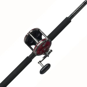 Senator Conventional Rod & Reel Combo