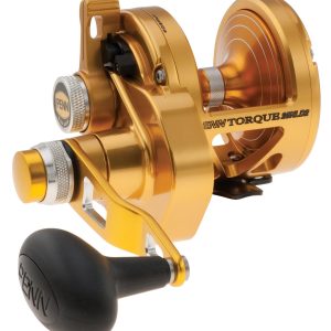 Torque Lever Drag 2-Speed Conventional Reel